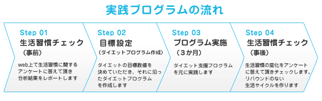 ���H�v���O�����̗���