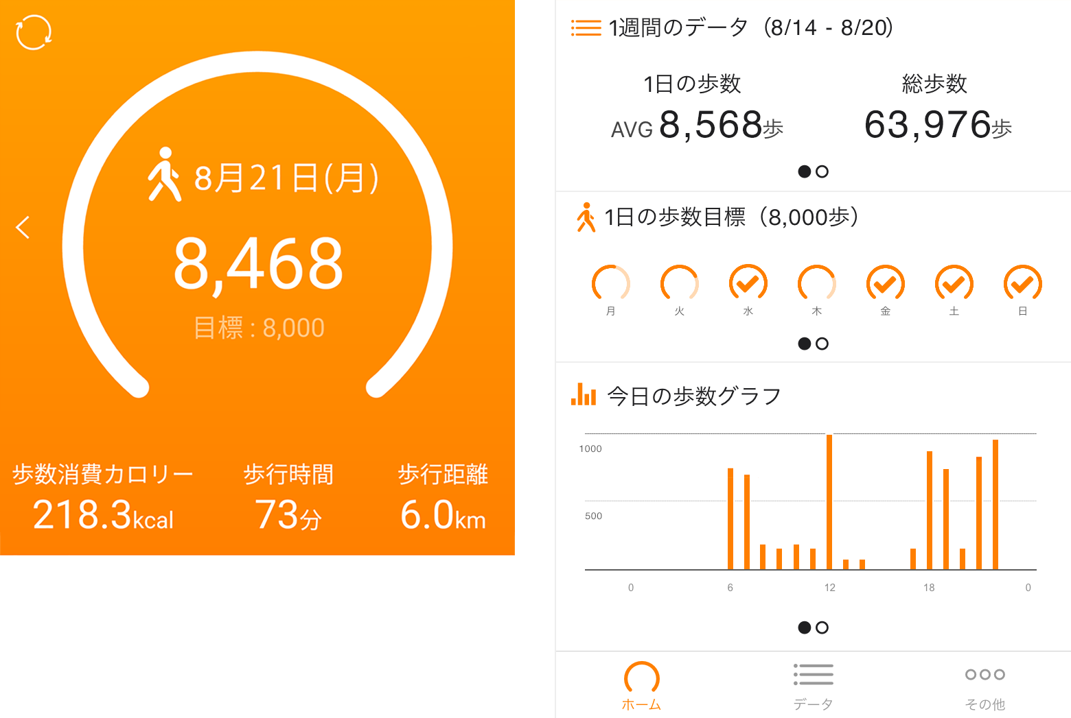 ヘルスプラネットウォークサンプル